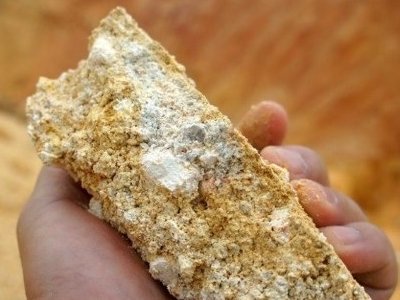 ϡ_(ki)ұxָ(bio)_(d)