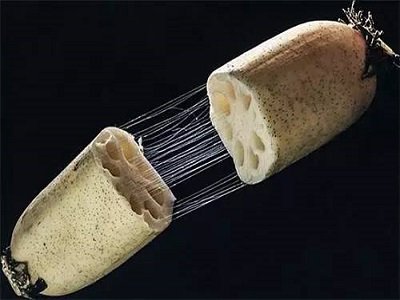 ܡźzBl(f) ƌWƳͷg(sh)p