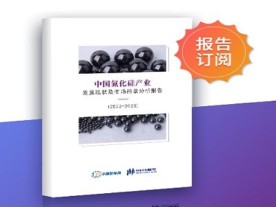 ȫ˽CõմЇa(chn)I(y)l(f)չF(xin)Јǰ棨2022~2023rt