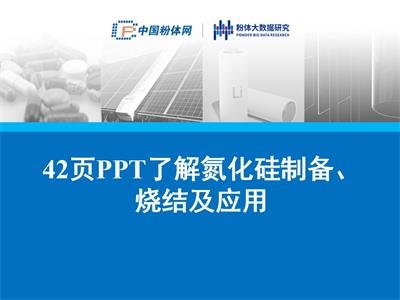 42PPT˽⵪ƂY(ji)(yng)
