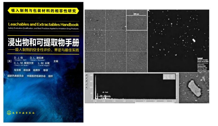 全自動顆粒檢測系統(tǒng)進(jìn)行 全自動顆粒識別、粒徑測量和元素分析