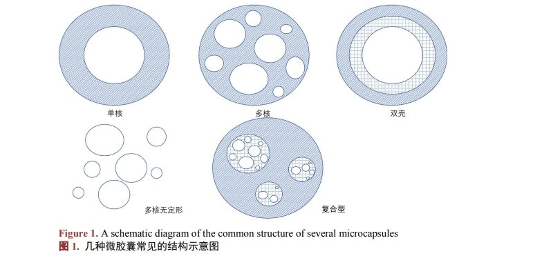 微膠囊常見(jiàn)的結(jié)構(gòu)